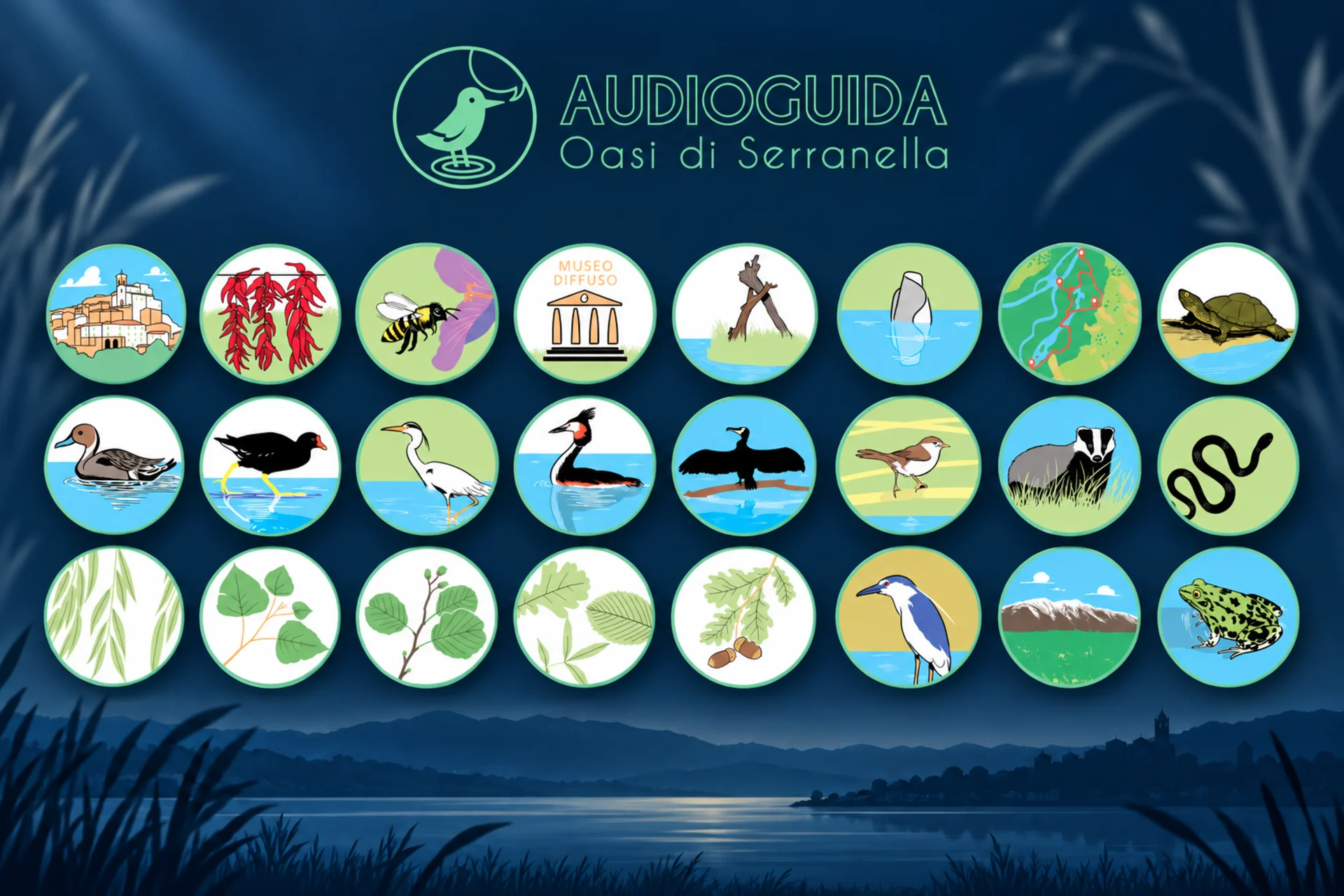 Audioguida nell’Oasi di Serranella grafica andrea marzii