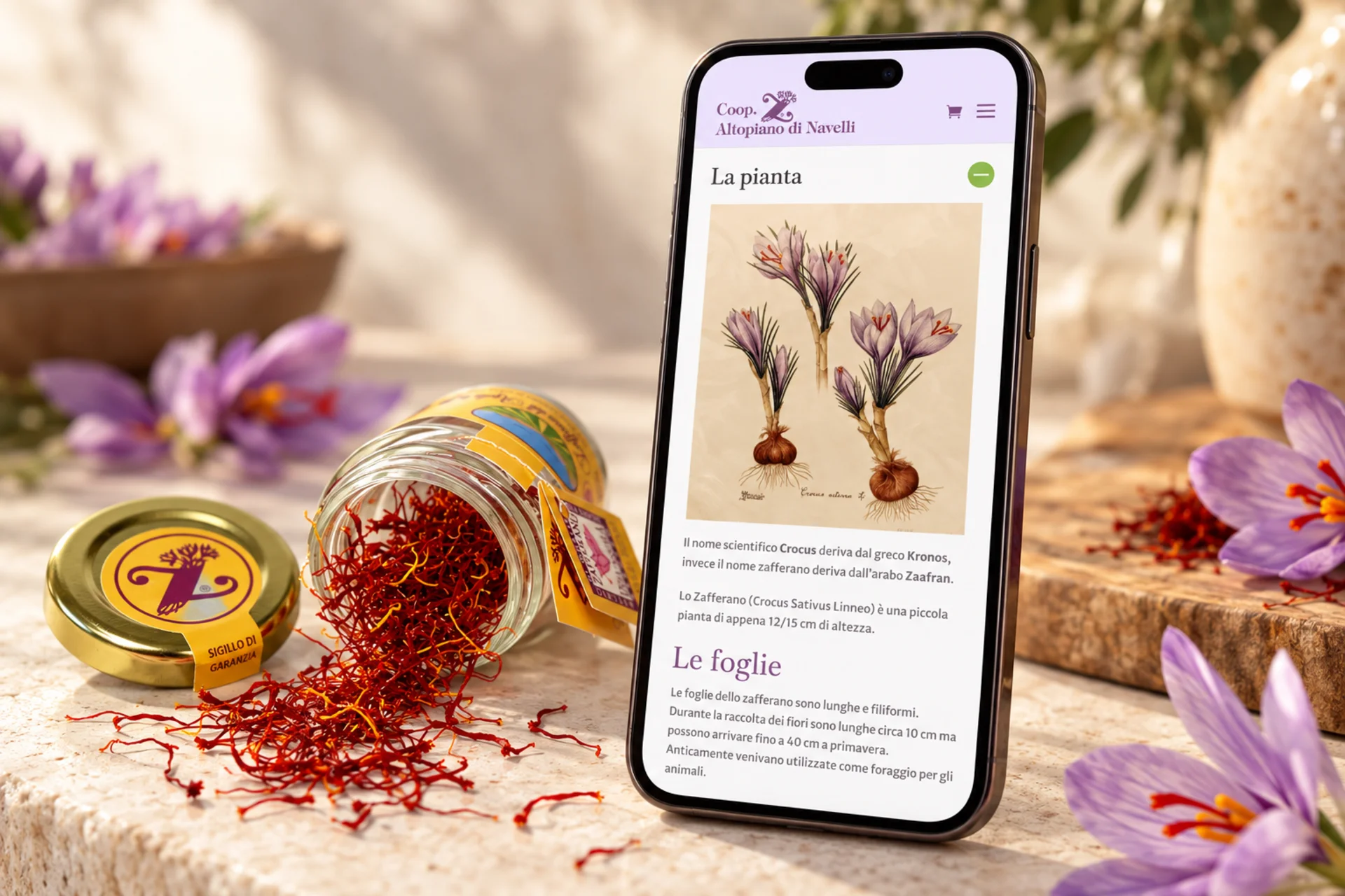 ecommerce-zafferano-dell-aquila-andrea-marzii-design-003